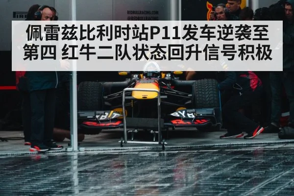 Red Bull Racing team
