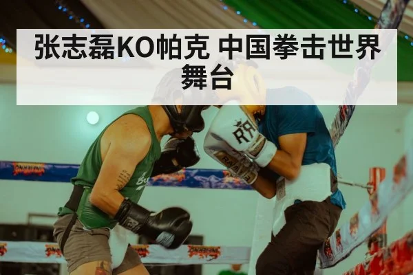 张志磊KO帕克 中国拳击世界舞台